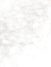 dsgn_933_menu_middle2.jpg